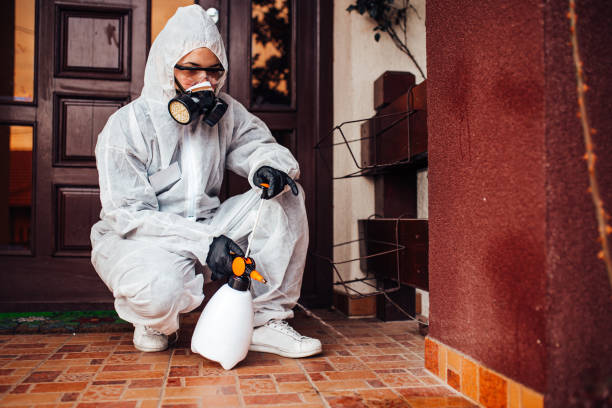 Reliable Rodent Control contractor in East Port Orchard, WA by Nex Pest Control