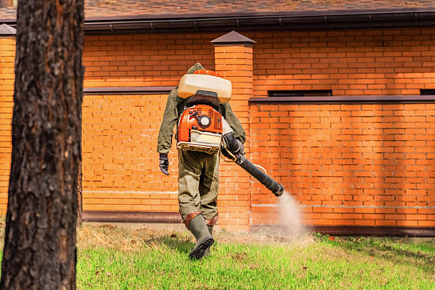 Trusted Emergency Pest Control service in East Port Orchard, WA - Nex Pest Control
